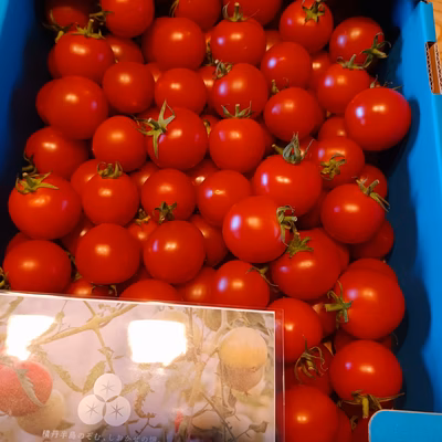 みんなの投稿の画像