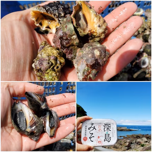 【巻き貝食べ比べ】ニガニシとオキニシと深島みそ280g