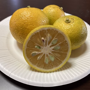 カボス　在庫限り無農薬自然栽培ご自宅用大分産熟成黄色かぼす