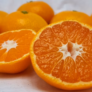 カンブリア宮殿で紹介！みかん【レモンの特典付き】