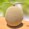 〖7月下旬発送〗贈答用マスクメロン【極】1.5㎏以上