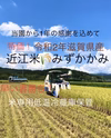 早い者勝ち☆数量限定特価！令和2年滋賀県産みずかがみ