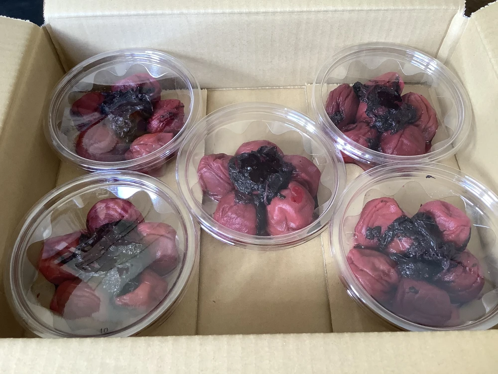 大粒紫蘇漬け梅干し 5パック