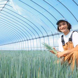 【GOTO生産現場】石巻で農作業体験＆ピザ作り体験