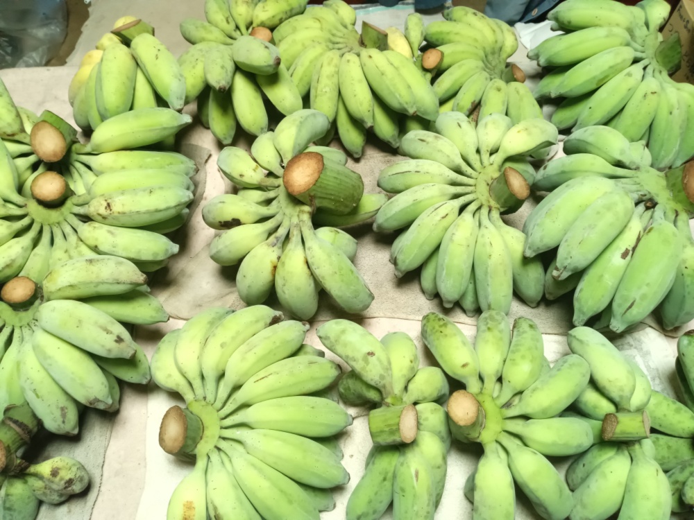 沖縄県産 アップルバナナ1kg 築地おぐま屋 沖縄県産アップルバナナ 1kg （8本前後）