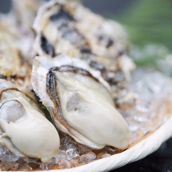 ぷりぷりまろやか✨袈裟丸牡蠣〜玄界灘産カキ〜 生食用/贈答用
