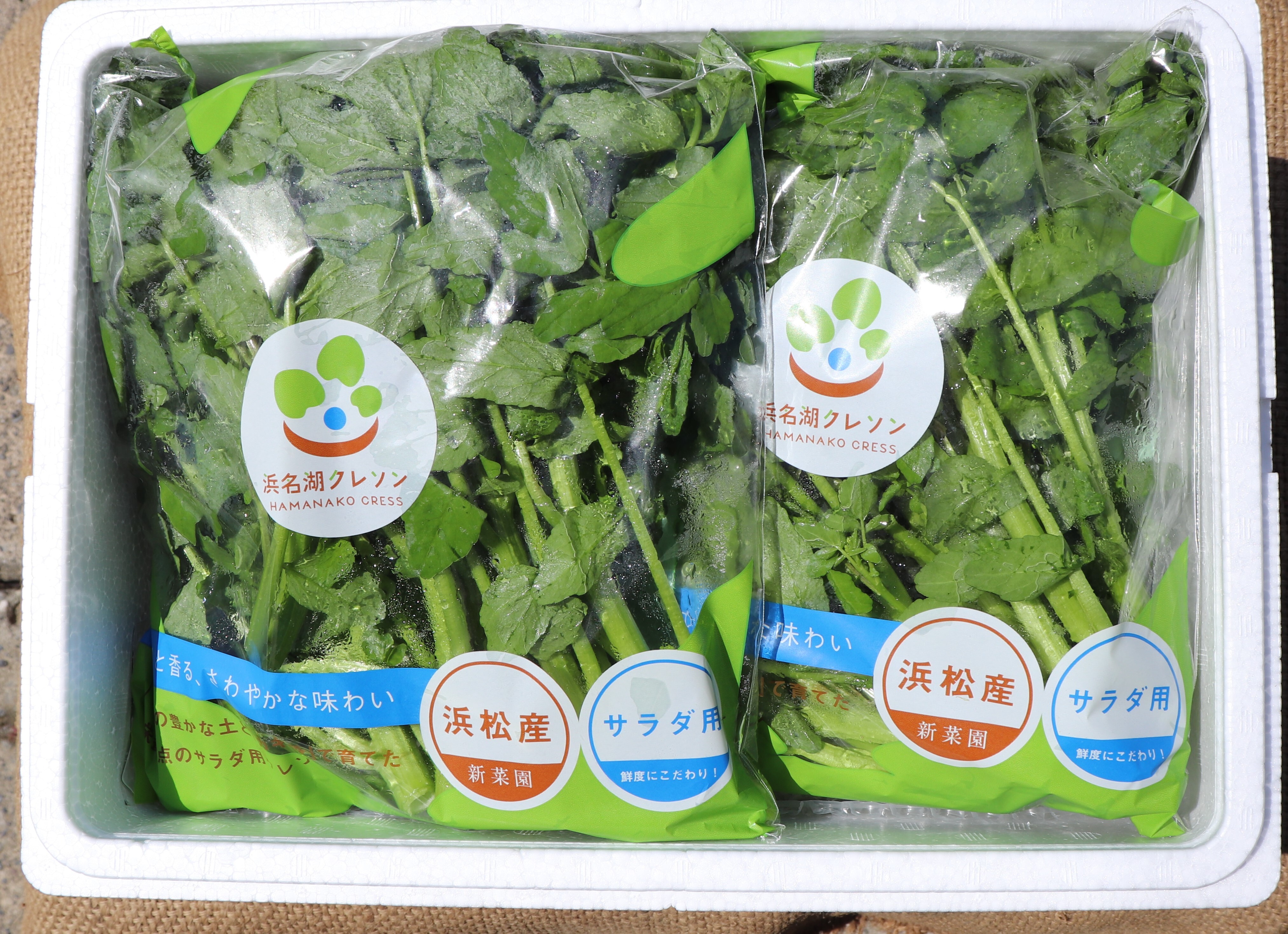 5月末まで　 訳あり　天然クレソン　10キロ目安　クール便 5月末まで 訳あり 天然クレソン 10キロ目安 クール便 - メルカリ