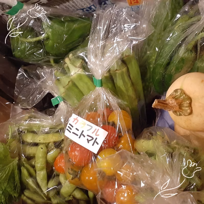 みんなの投稿の画像