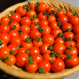 惚れたぜ！大人のトマト「ほれまる」