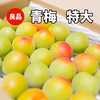 良品【紀州南高　青梅】　　特大(2L～3L)1㎏～
