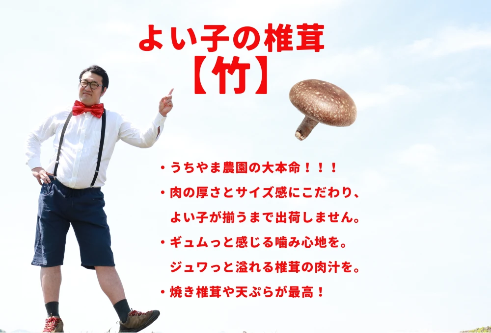 よい子の椎茸【竹】焼き椎茸や天ぷら、メインおかずに◎