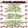 朝採り当日発送☆美味しいさくらんぼをさくらんぼ農家がセレクト！品種おまかせコース