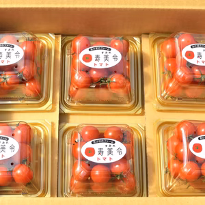 寿美令トマト　（250g×6個／段ボール発送）フルーツトマト　ミニトマト