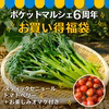【6周年福袋】期間限定！お買い得福袋(おまけつき) [化学農薬・化学肥料不使用]
