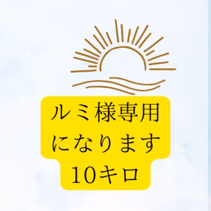 ルミ様専用になります サイズ3Sから4S 訳あり　