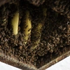 日本ミツバチの巣蜜（すみつ）と日本蜂蜜セット【曽根花卉】