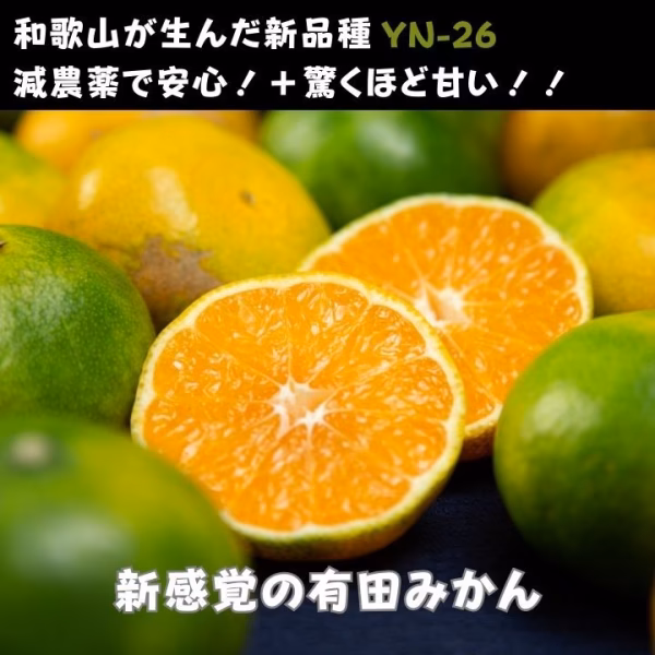 月末まで割引 甘い有田みかん【和歌山の新品種】由良早生  蜜柑 ミカン 送料無料