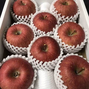 青森県産りんご「サンふじ」贈答用 化粧箱 約3kg 【光センサ選果済】