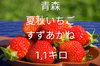 朝採れ当日発送！大玉いちご！1,1キロ！夏秋いちご　青森県産　すずあかね　苺　夏