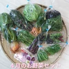 ４月のお野菜セット　淡路島よりAwajicHorrorGarden
