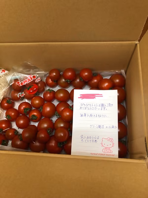 みんなの投稿の画像