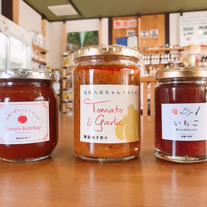 【まずはコレ！】みつヴィレッジお試しセット