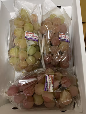 みんなの投稿の画像