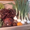 【クール便】淡路島から自然栽培で育った新玉ねぎと野菜セット