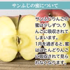2020年産 信州りんご サンふじ【家庭用約2～10㎏】