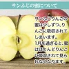 家庭用 信州りんご サンふじ 葉とらず 減農薬【約2～10㎏】