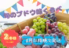(先行予約)旬の葡萄食べ比べ！いろんな味と出会えます！