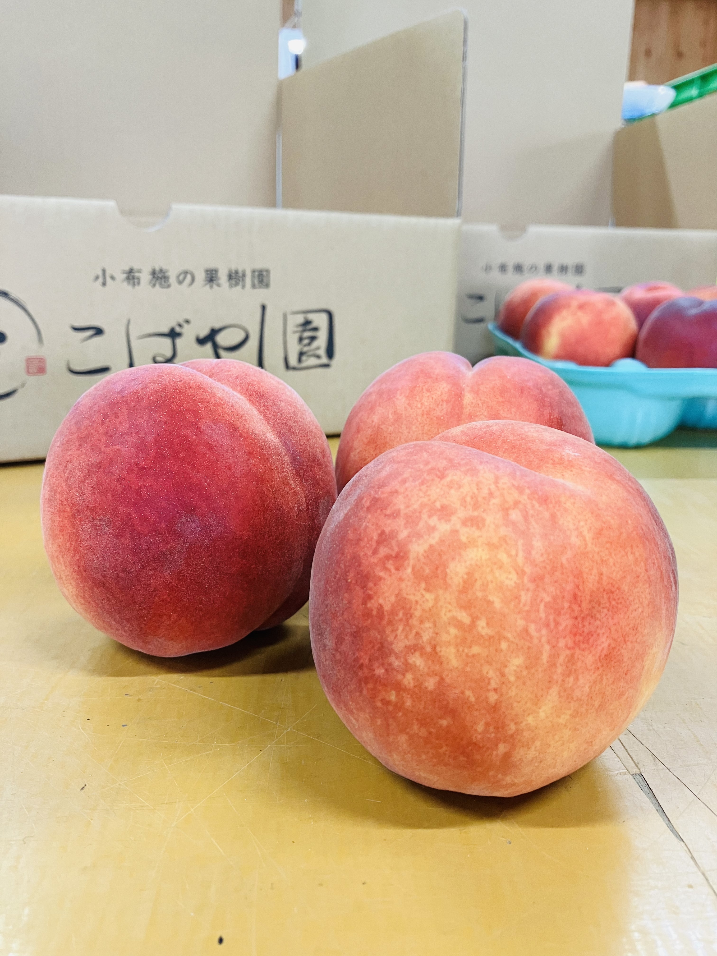 ワッサー（家庭用）5kg｜果物の商品詳細｜ポケットマルシェ｜産直(産地直送)通販 旬の果物・野菜・魚介をお取り寄せ