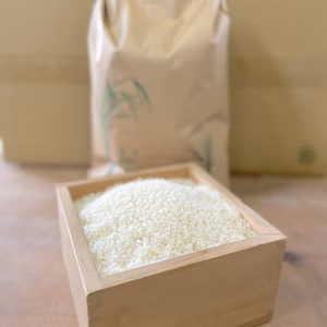 【令和5年度新米】玄米でお届け！！【数量限定】キヌヒカリ玄米