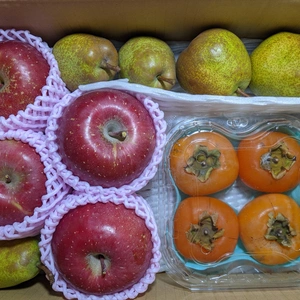 柿とりんごと洋梨