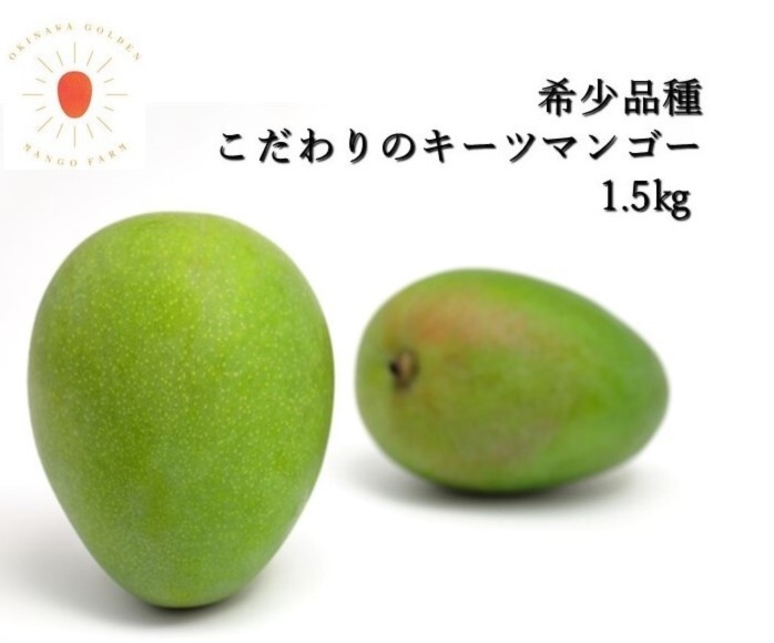 希少品種キーツマンゴー 8月末より発送 家庭用 1.5㎏以上（2～3玉入