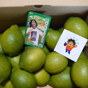 熊本県産　ユーレカレモン　グリーンレモン　5キロ(３５玉前後)