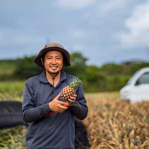 パイナップルの貴婦人 石垣島産 ピーチパイン 全国送料無料
