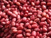 丹波篠山の豆セット（丹波黒大豆、丹波白大豆、丹波大納言小豆）【注】１１月より再販
