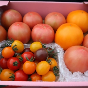 「食べ比べ」大玉トマト&ミニトマト 7品種贅沢詰め
