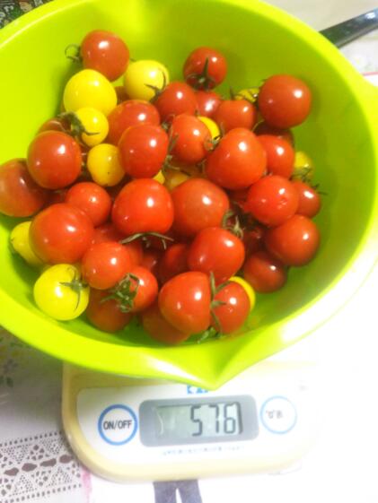 B級品 お買い得 完熟ひめトマ ミニトマト ２kg程度 農家漁師から産地直送の通販 ポケットマルシェ