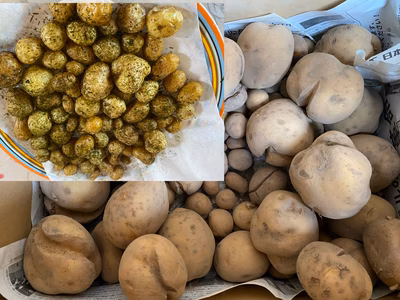 みんなの投稿の画像