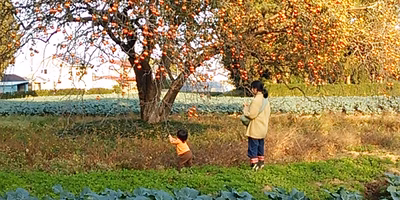震災後、僕は相馬で農家になった：菊地将兵（農家・福島県相馬市）
