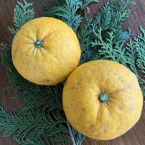 甘夏みかん 箱込4キロ〜マーマレードも安心して作れます　no1