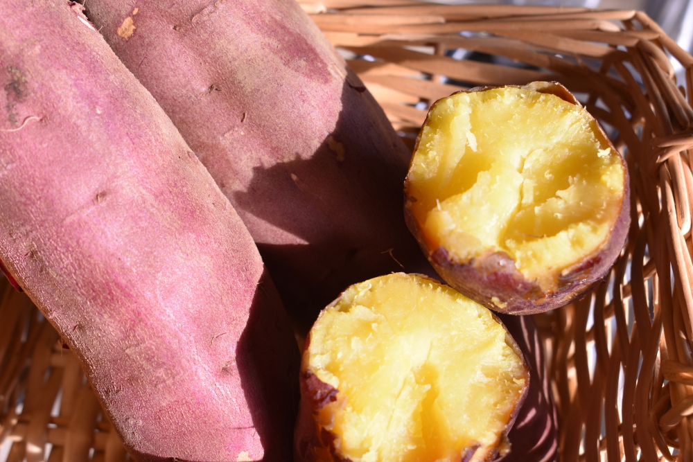 [蔵出し]特別栽培農産物さつまいも!べにはるか![温室効果ガス削減〜三ツ星〜] 5Kg(サイズ無選別)