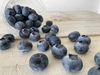 ♢✦国産早生✦♢ 大粒ブルーベリー食べ比べセット（100g×4）*農薬不使用