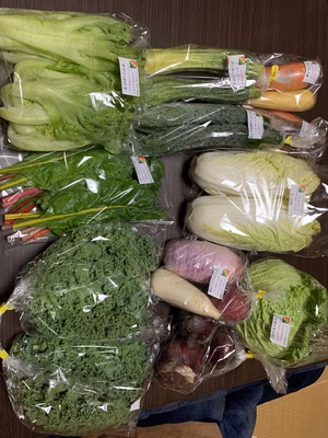 みんなの投稿の画像