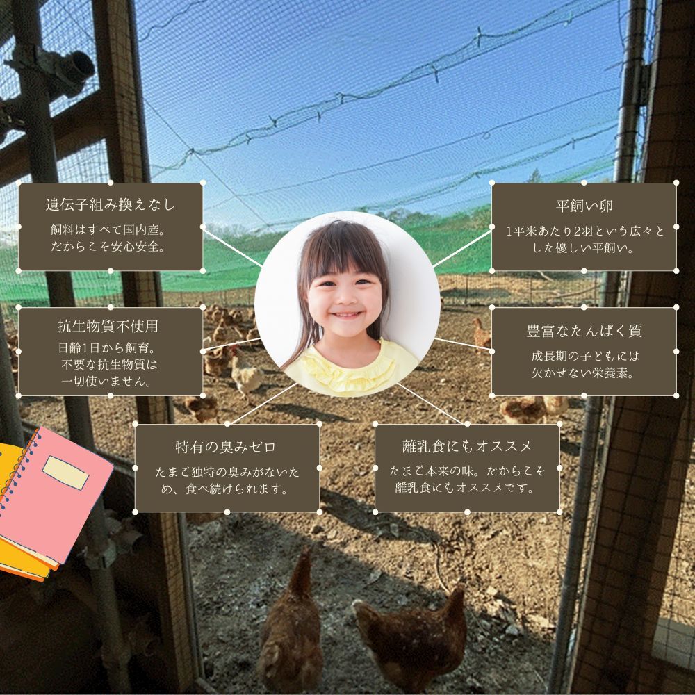 パック入り】完全自家配合！とれたて平飼い有精卵 全て国産