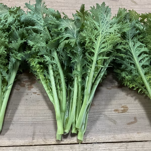 期間限定　フレッシュわさび菜　クール便