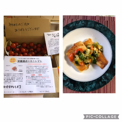 みんなの投稿の画像