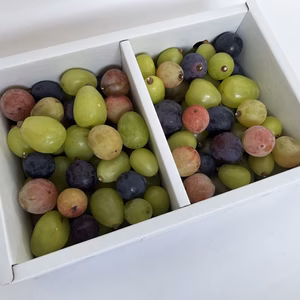種なし葡萄　MIX　粒BOX